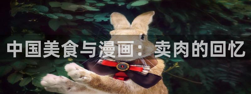 韩漫漫画手机网站:中国美食与漫画:卖肉的回忆配图