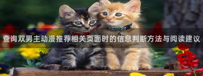 韩漫大全在线阅读:查询双男主动漫推荐相关页面时的信息判断方法与阅读建议配图